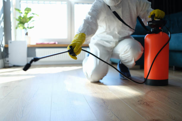 Reliable Biohazard contractor in Brentwood, MO by Crime Scene Cleaner Online